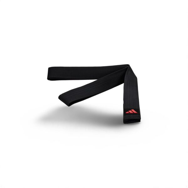 Karate Belt
