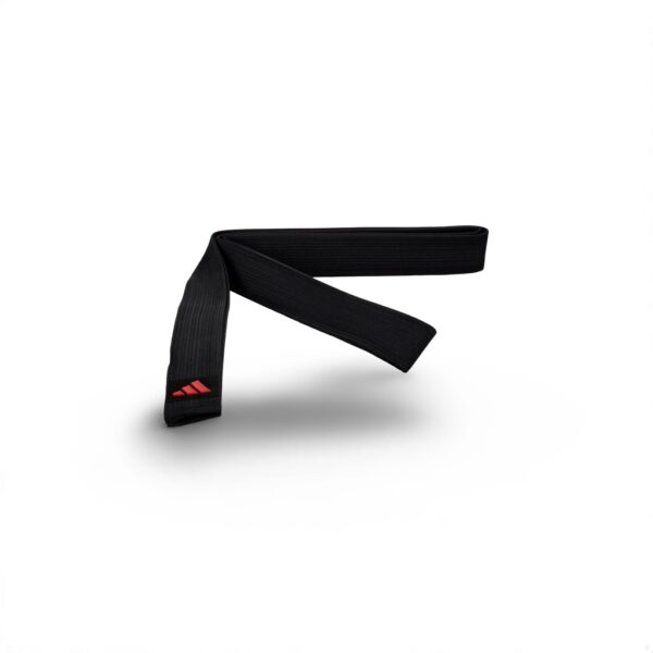 Karate Belt - Image 2