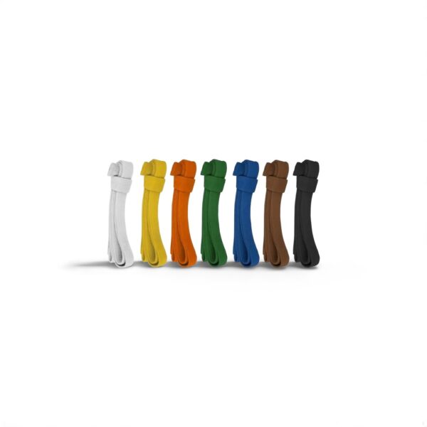 Karate Belt