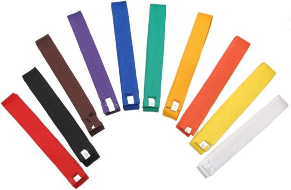 Karate Belt
