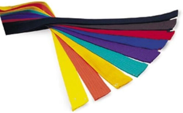 Karate Belt - Image 2