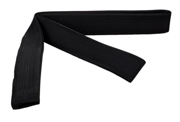 Karate Belt - Image 2